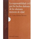 RESPONSABILIDAD CIVIL POR LOS HECHOS