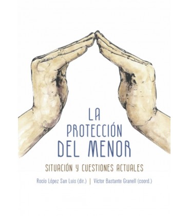 PROTECCION DEL MENOR SITUACION Y CUESTIONES ACTUALES