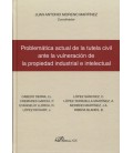 PROBLEMATICA ACTUAL DE LA TUTELA CIVIL ANTE LA VULNERACION