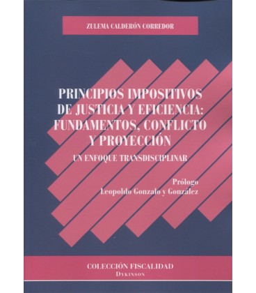 PRINCIPIOS IMPOSITIVOS DE JUSTICIA Y EFICIENCIA FUNDAMENTOS CONFLICTO