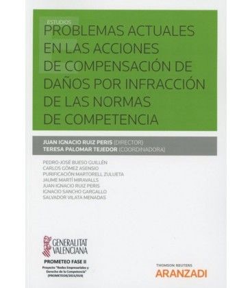 PROBLEMAS ACTUALES EN LAS ACCIONES DE COMPENSACION DE DAÑOS POR INFRAC