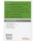 PROBLEMAS ACTUALES EN LAS ACCIONES DE COMPENSACION DE DAÑOS POR INFRAC