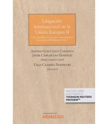 LITIGACION INTERNACIONAL EN LA UNION EUROPEA II (DUO)