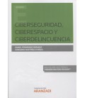 CIBERSEGURIDAD CIBERESPACIO Y CIBERDELINCUENCIA