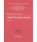 HOMENAJE AL PROFESOR ANGEL MENENDEZ REXACH TOMO I (2VOL)