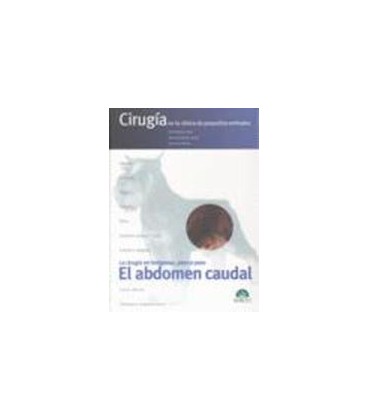 ABDOMEN CAUDAL CIRUGIA EN LA CLINICA DE PEQUEÑOS ANIMALES