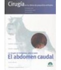 ABDOMEN CAUDAL CIRUGIA EN LA CLINICA DE PEQUEÑOS ANIMALES