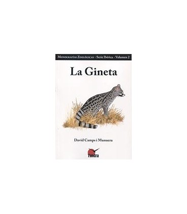 GINETA