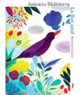FLOR AZUL LA ILUSTRACIONES DE MARIONA CABASSA