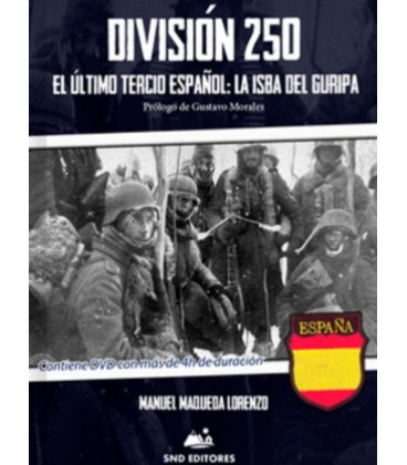 DIVISION 250