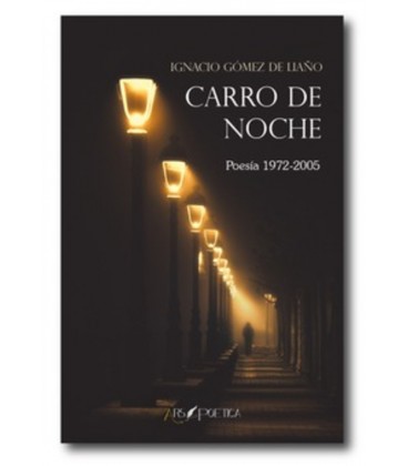 CARRO DE NOCHE