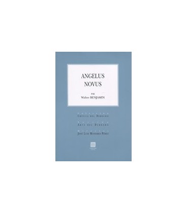 ANGELUS NOVUS
