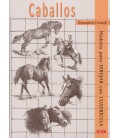CABALLOS