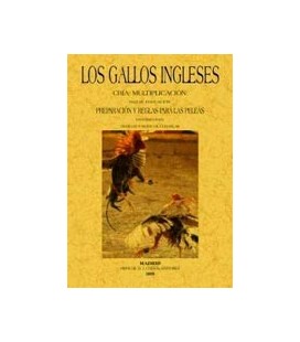 GALLOS INGLESES