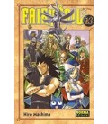 FAIRY TAIL 13