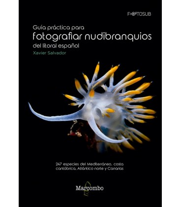 GUIA PRACTICA PARA FOTOGRAFIAR NUDIBRANQUIOS