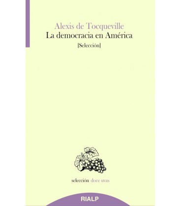 DEMOCRACIA EN AMERICA