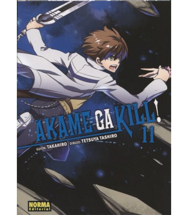 AKAME GA KILL! 11