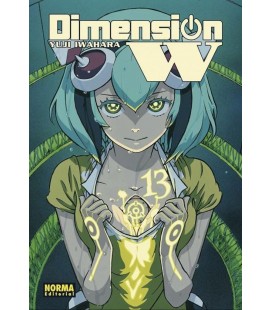 DIMENSION W 13