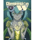 DIMENSION W 13