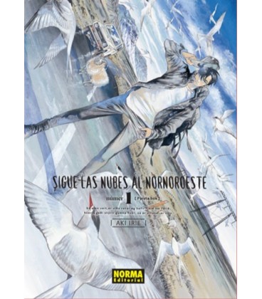 SIGUE LAS NUBES AL NORNOROESTE 01