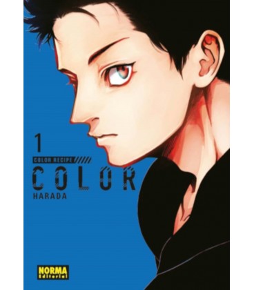 COLOR RECIPE 01