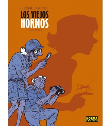 VIEJOS HORNOS 05 CAMINO DEL ASILO