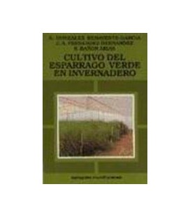 CULTIVO ESPARRAGO VERDE EN INVERNADERO