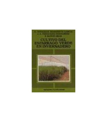 CULTIVO ESPARRAGO VERDE EN INVERNADERO