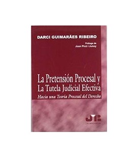 PRETENSION PROCESAL Y LA TUTELA JUDIC