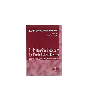 PRETENSION PROCESAL Y LA TUTELA JUDIC