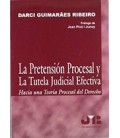PRETENSION PROCESAL Y LA TUTELA JUDIC