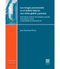 RIESGOS PSICOSOCIALES EN EL AMBITO LABORAL VISION GLOBAL Y PRACTICA