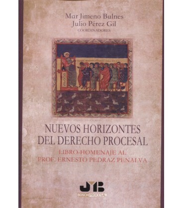 NUEVOS HORIZONTES DEL DERECHO PROCESAL