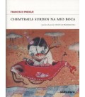 CHEMTRAILS SURDEN NA MIO BOCA