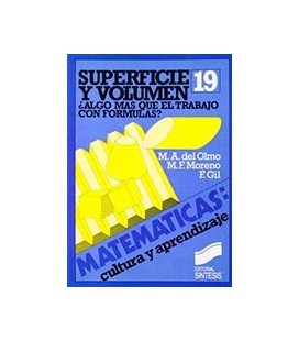 SUPERFICIE Y VOLUMEN 19