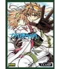 TSUBASA ALBUM DE REPRODUCTIONS 01