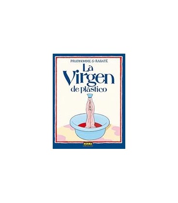 VIRGEN DE PLASTICO