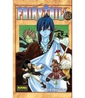 FAIRY TAIL 25
