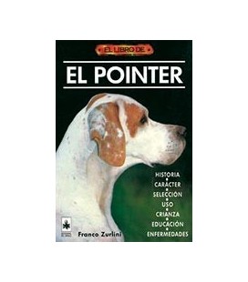POINTER