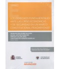 DERECHOS FUNDAMENTALES ANTE LA CRISIS ECONOMICA Y DE SEGURIDAD