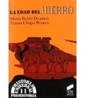 EDAD DE HIERRO