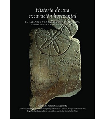 HISTORIA DE UNA EXCAVACION HORIZONTAL