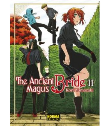 THE ANCIENT MAGUS BRIDE 11