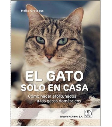 GATO SOLO EN CASA