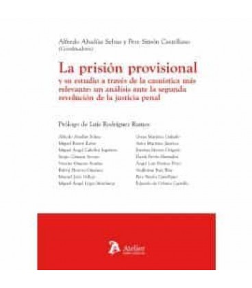 PRISION PROVISIONAL Y SU ESTUDIO A TRAVES DE LA CASUISTICA RELEVANTE