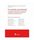 PRISION PROVISIONAL Y SU ESTUDIO A TRAVES DE LA CASUISTICA RELEVANTE