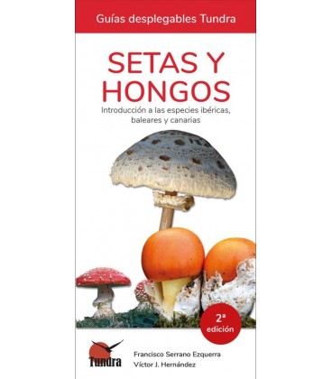 SETAS Y HONGOS INTRODUCCION A LAS ESPECIES IBERICAS BALEARES CANARIAS