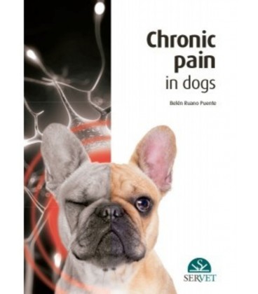 CHRONIC PAIN IN DOGS