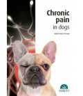 CHRONIC PAIN IN DOGS